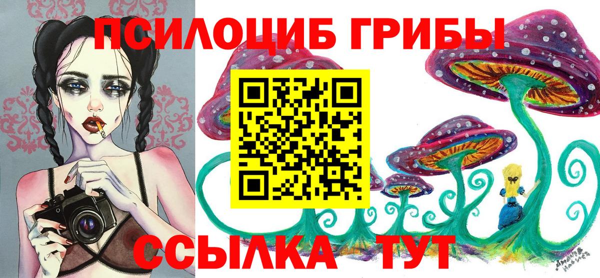 Псилоцибиновые грибы Psilocybine cubensis Ухта